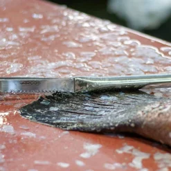 Balance Electronique Page Confort SOEHNLE Blanc 10 Kg -Pas Cher Touche Cuisine Magasin balance electronique page confort soehnle blanc 10 kg 7