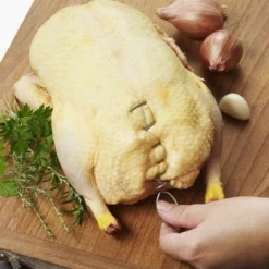 Bouteille Isotherme Double Paroi En Inox Avec Poignée Qwetch 1.5 L -Pas Cher Touche Cuisine Magasin bouteille isotherme double paroi en inox avec poignee qwetch 1 5 l 2