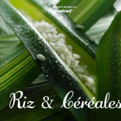 Cocotte En Fonte Emaillée Staub Tomate D25 3 L -Pas Cher Touche Cuisine Magasin cocotte en fonte emaillee staub tomate d25 3 l 2