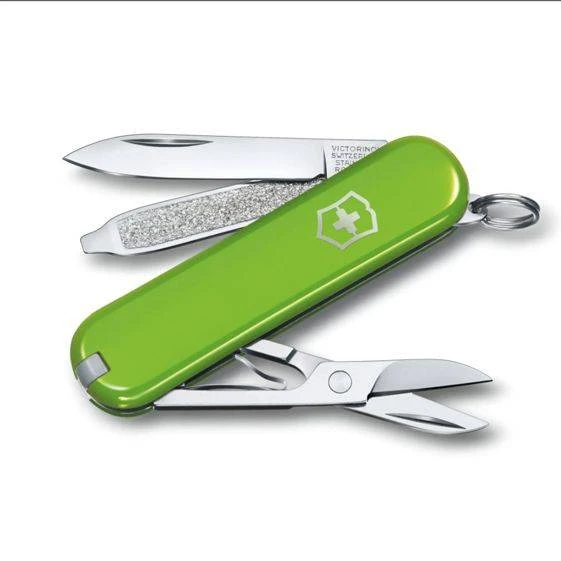 COOKWAY Master Faitout Inox Avec Cuit Vapeur Verre Et Couvercle D24 By CRISTEL 2 COOKWAY Master Faitout Inox Avec Cuit Vapeur Verre Et Couvercle D24 By CRISTEL – Image 2