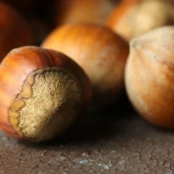 Pèse Sirop Densimètre 1100g à 1400g