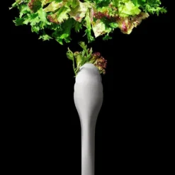 Pas Cher Touche Cuisine Magasin -Pas Cher Touche Cuisine Magasin thermo sonde de cuisson mastrad 1